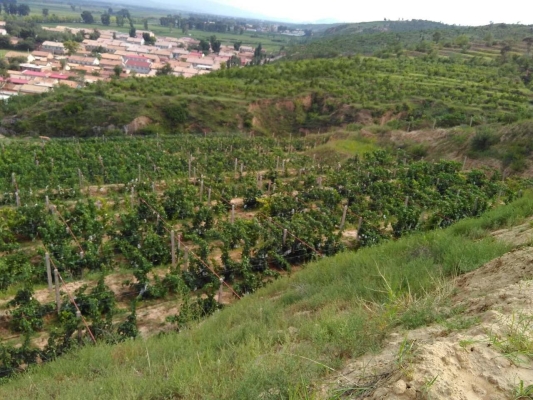 赤峰廢品市場地址電話是多少號-第1張圖片