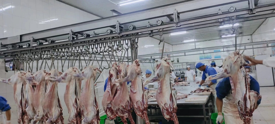 赤峰小型屠宰場電話多少號-第1張圖片