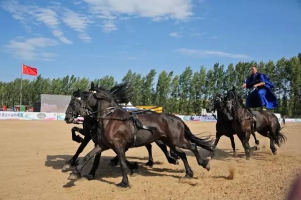赤峰出售騎馬衣服電話號碼是多少-第1張圖片