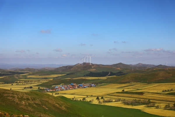 赤峰林東浩爾吐司店電話號(hào)碼-第1張圖片