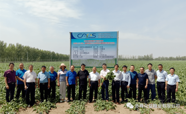 赤峰眾益甜菜收購電話號(hào)碼查詢-第1張圖片