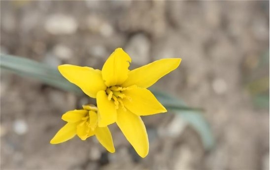 赤峰附近草料場地址電話號碼-第1張圖片