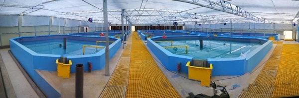 赤峰市海容模塊廠電話號(hào)碼-第1張圖片