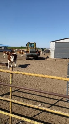 赤峰市巴林右旗電話區(qū)號是多少-第1張圖片