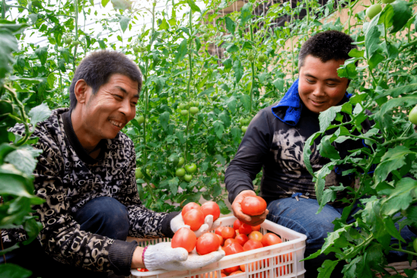 內(nèi)蒙古農(nóng)信赤峰客服電話是多少-第1張圖片