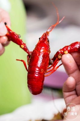 赤峰老付水果超市地址電話號碼-第1張圖片