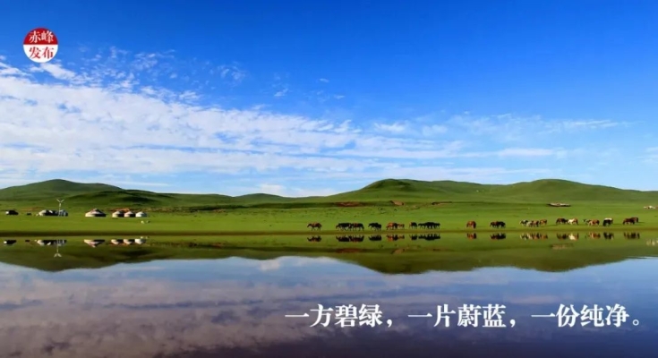 赤峰市短途旅行公司電話號(hào)碼-第1張圖片