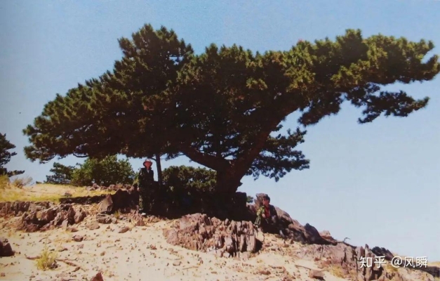 赤峰林大童裝店地址電話號(hào)碼-第1張圖片