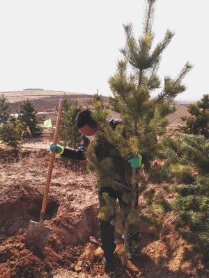 赤峰市松山稅務(wù)局電話號(hào)碼-第1張圖片