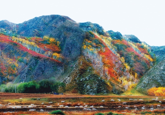 赤峰九龍供水交費(fèi)電話號(hào)碼-第1張圖片