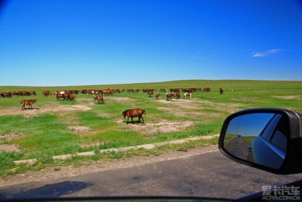 赤峰阿旗租自行車電話號(hào)碼-第1張圖片