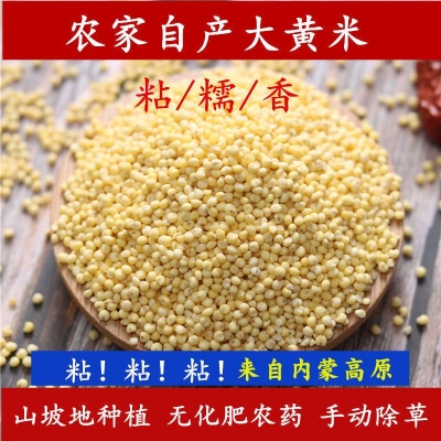 赤峰大磊手機(jī)批發(fā)店電話(huà)號(hào)碼-第1張圖片