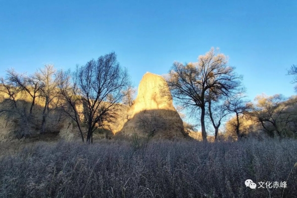 赤峰勝州商貿(mào)公司電話多少號-第1張圖片