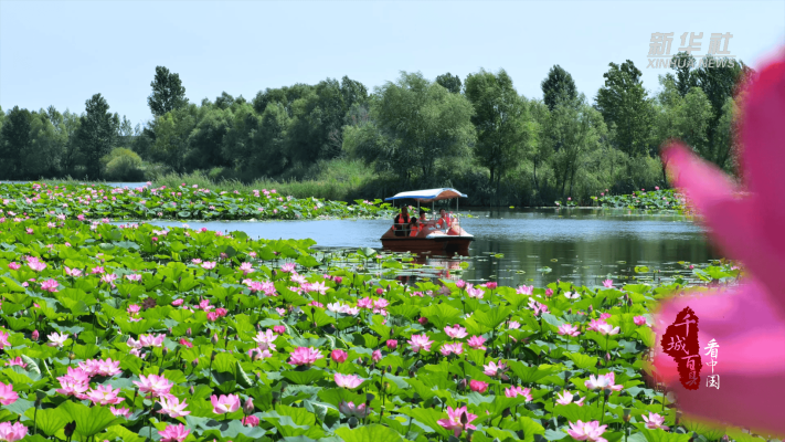赤峰千黛美容院電話地址查詢-第1張圖片