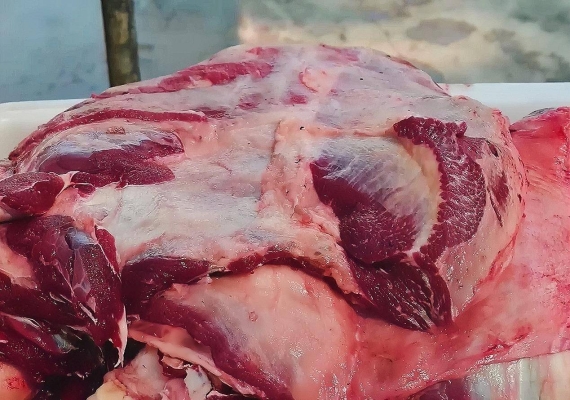 赤峰養(yǎng)驢代購店電話號碼多少-第1張圖片