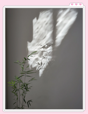 內(nèi)蒙古赤峰花店電話多少號(hào)-第1張圖片