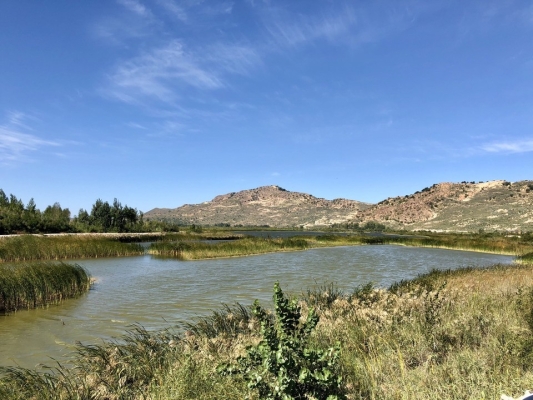 赤峰市烏丹鎮(zhèn)衛(wèi)校電話(huà)號(hào)碼-第1張圖片