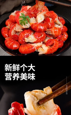赤峰冷凍龍蝦批發(fā)電話多少號-第1張圖片