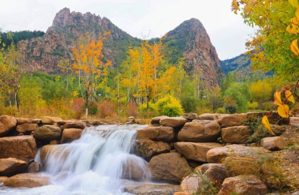 赤峰林舍工作室招聘電話號碼-第1張圖片