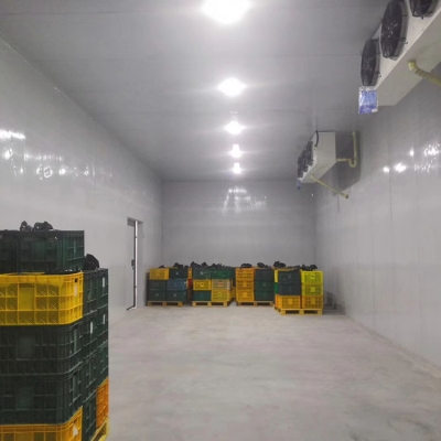 赤峰市豬肉冷庫批發(fā)電話號(hào)碼-第1張圖片