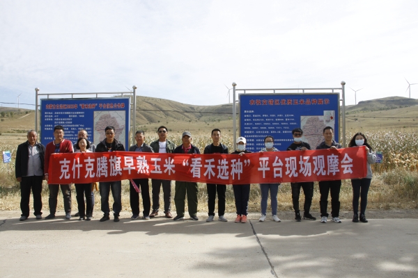 赤峰收玉米粒的地方電話號(hào)碼-第1張圖片