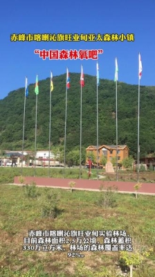 赤峰旺業(yè)店森林公園電話號碼-第1張圖片