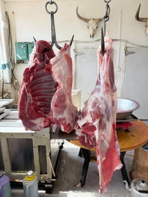 赤峰市黑花肉牛販子電話號碼-第1張圖片