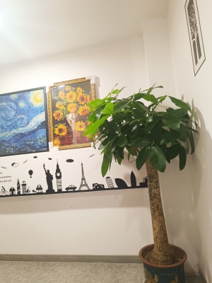 赤峰市按摩店電話號(hào)碼多少-第1張圖片