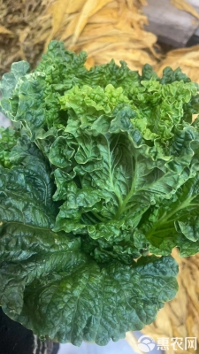 赤峰麻葉批發(fā)市場電話號碼-第1張圖片