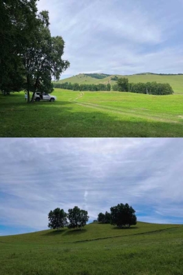 赤峰草原管理站電話號(hào)碼是多少-第1張圖片