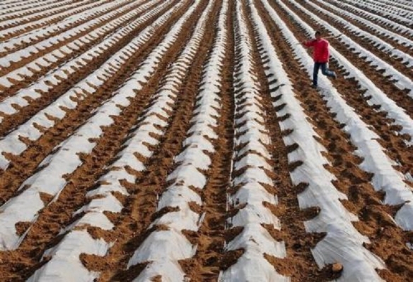 赤峰林東地膜廠電話號碼查詢-第1張圖片