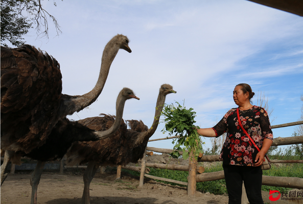 赤峰旱冰場(chǎng)團(tuán)購(gòu)群電話號(hào)碼-第1張圖片