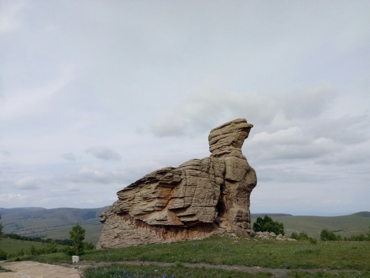 內(nèi)蒙古赤峰畜牧局電話號碼-第1張圖片