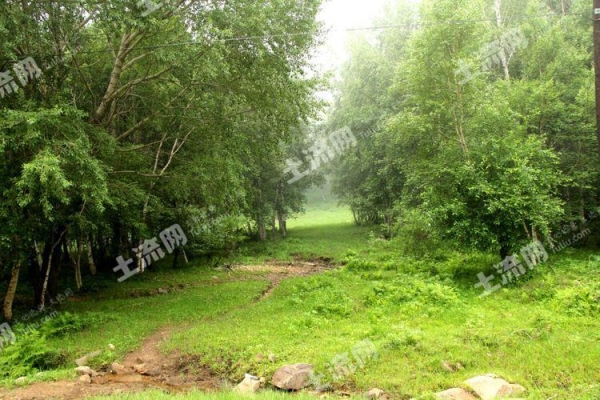 赤峰林地收購(gòu)電話號(hào)碼查詢網(wǎng)-第1張圖片