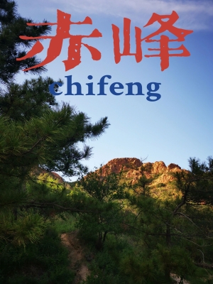 赤峰翩然舞館電話多少號碼-第1張圖片