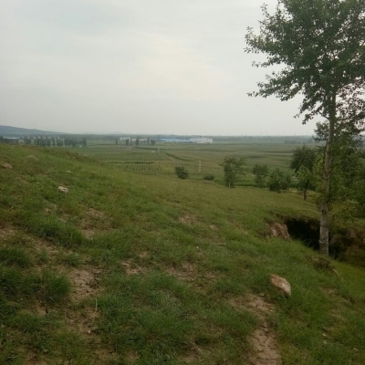 赤峰乃林足療店電話(huà)地址查詢(xún)-第1張圖片