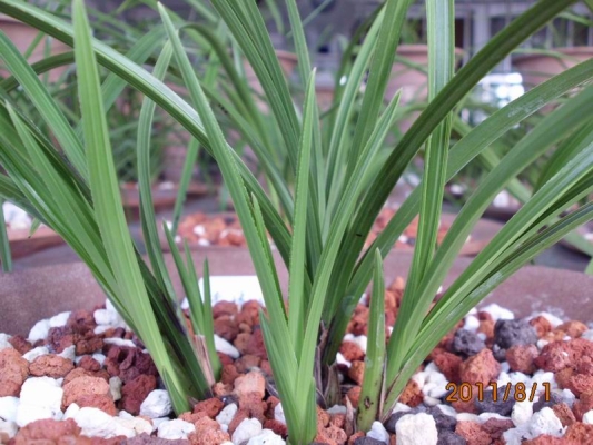 赤峰蘭炭經(jīng)銷處電話地址查詢-第1張圖片