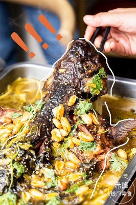 赤峰賣半大鵝苗電話多少號-第1張圖片