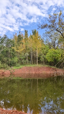 赤峰市孤山子鎮(zhèn)政府電話號碼-第1張圖片