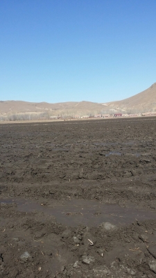 赤峰市富合國(guó)際社區(qū)電話號(hào)碼-第1張圖片