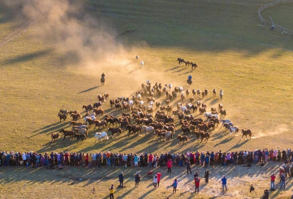 赤峰運佳代駕電話號碼多少-第1張圖片