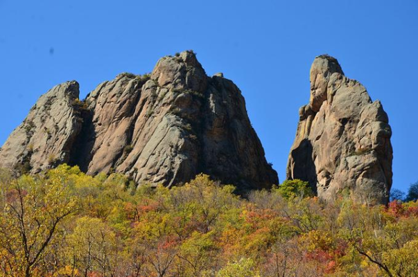赤峰林西防護網(wǎng)電話號碼-第1張圖片