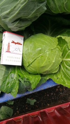 赤峰賣甘藍苗的電話號碼是多少-第1張圖片