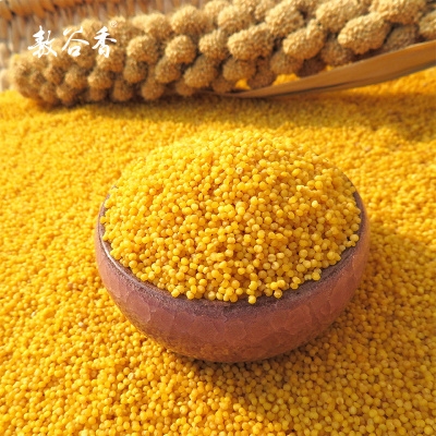 赤峰小米物流電話多少啊-第1張圖片