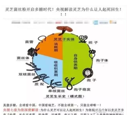 赤峰馬戲團(tuán)招人電話號碼是多少-第1張圖片