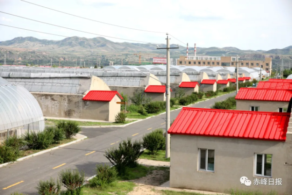 赤峰賣草莓的市場地址電話號碼-第1張圖片