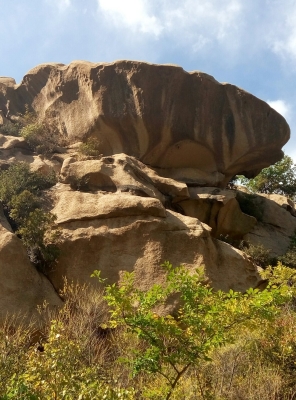 赤峰喀喇沁旗馳鼎家具廠電話號(hào)碼-第1張圖片