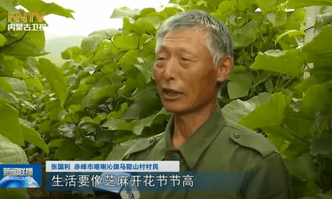 赤峰養(yǎng)羊場出租電話多少號-第1張圖片