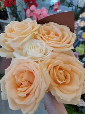 赤峰松州園花店電話號碼多少-第1張圖片