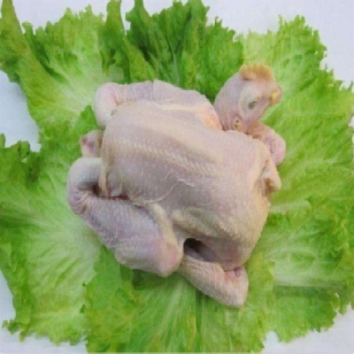 赤峰雞屠宰場(chǎng)地址電話查詢號(hào)碼-第1張圖片